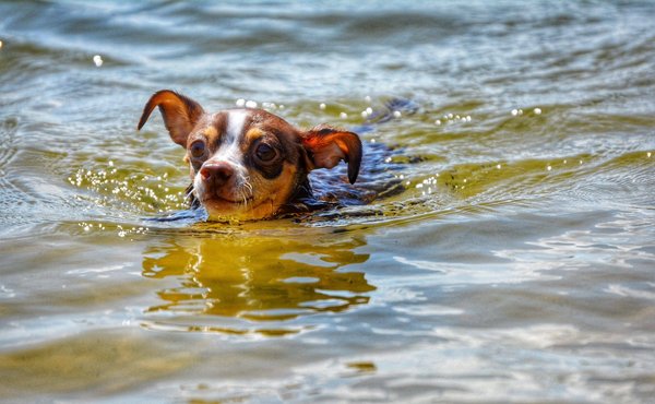 Comment débuter en bourse avec un petit budget ?