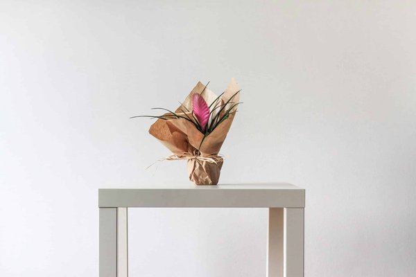 Quels sont les meilleurs moyens de recycler de vieux livres en objets de décoration ?