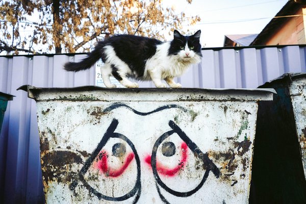Évacuation de déchets à obernai : solutions simples et efficaces